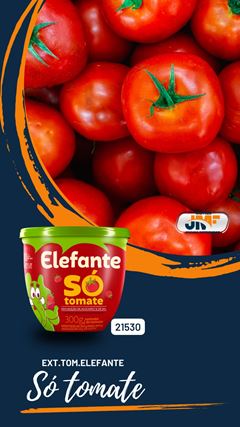 EXT.TOM.ELEFANTE SO TOMATES-PT 12X300GR
