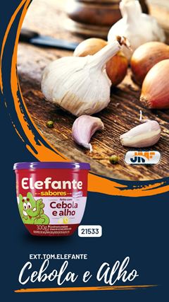 EXT.TOM.ELEFANTE CEBOLA/ALHO-PT 12X300GR