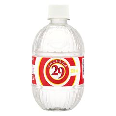 AGUARDENTE 29  PET